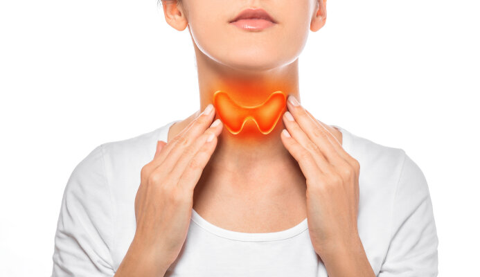 Schilddrüsengesundheit: Tipps und Wissenswertes für ein hormonelles Gleichgewicht - 