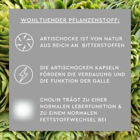 SUNLIFE® Artischocken Kapseln 60 Stk Verdauung Lebergesundheit Fettstoffwechsel Magen-Darm-Unterstützung Verdauungsförderung + Cholin
